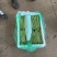 云南精品四季豆小金豆产地直发品质保证量大从优