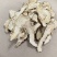 当归片甘肃岷县无硫当归片大片当季新货大货批发量大从优