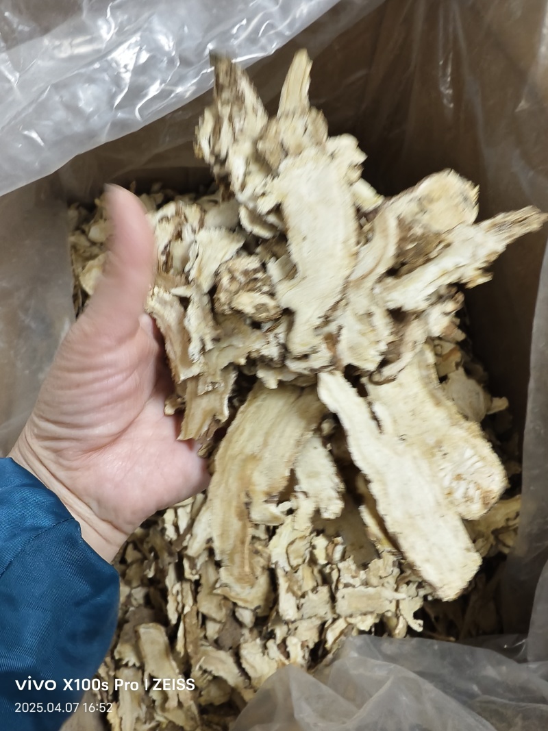 当归片甘肃岷县无硫当归片大片当季新货大货批发量大从优
