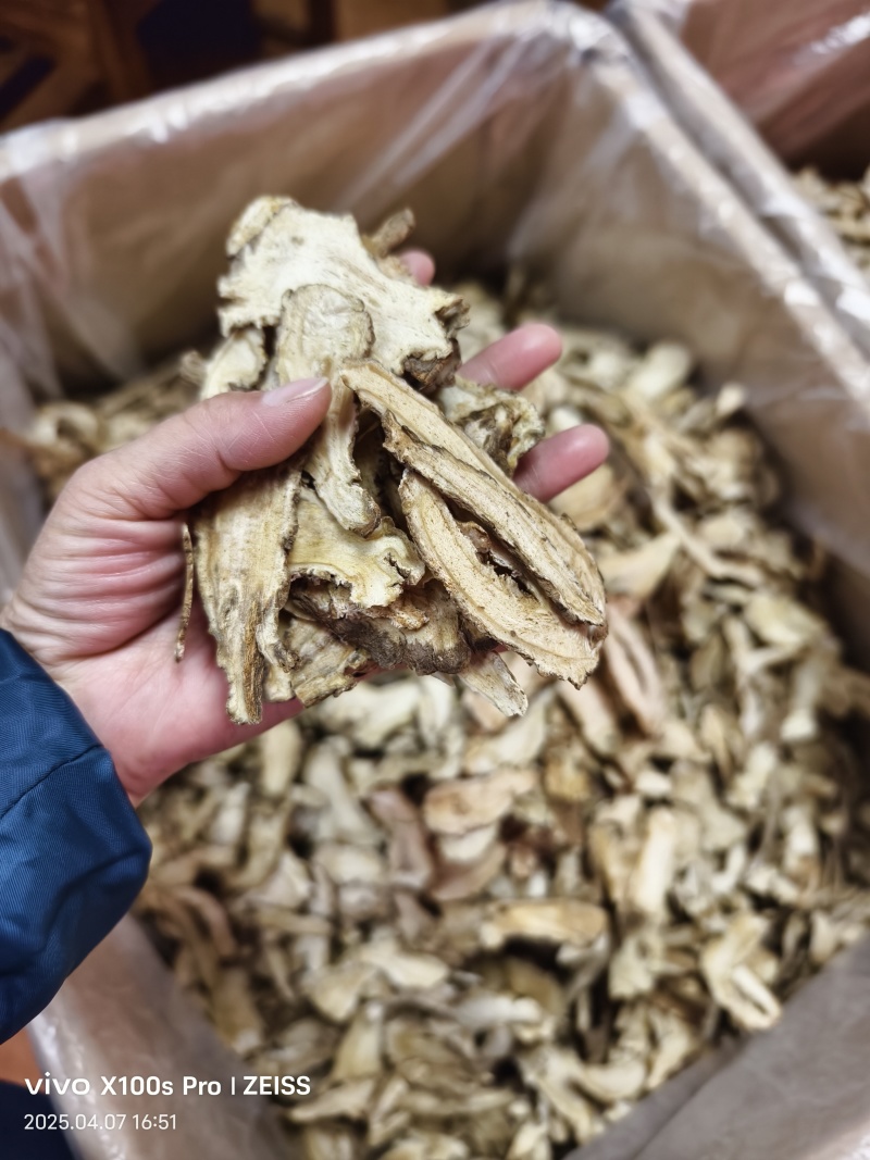 当归片甘肃岷县无硫当归片大片当季新货大货批发量大从优