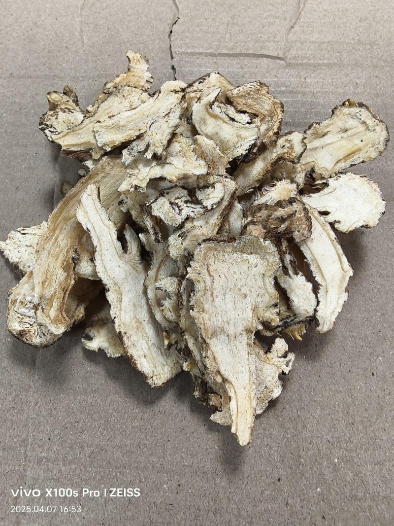当归片甘肃岷县无硫当归片大片当季新货大货批发量大从优