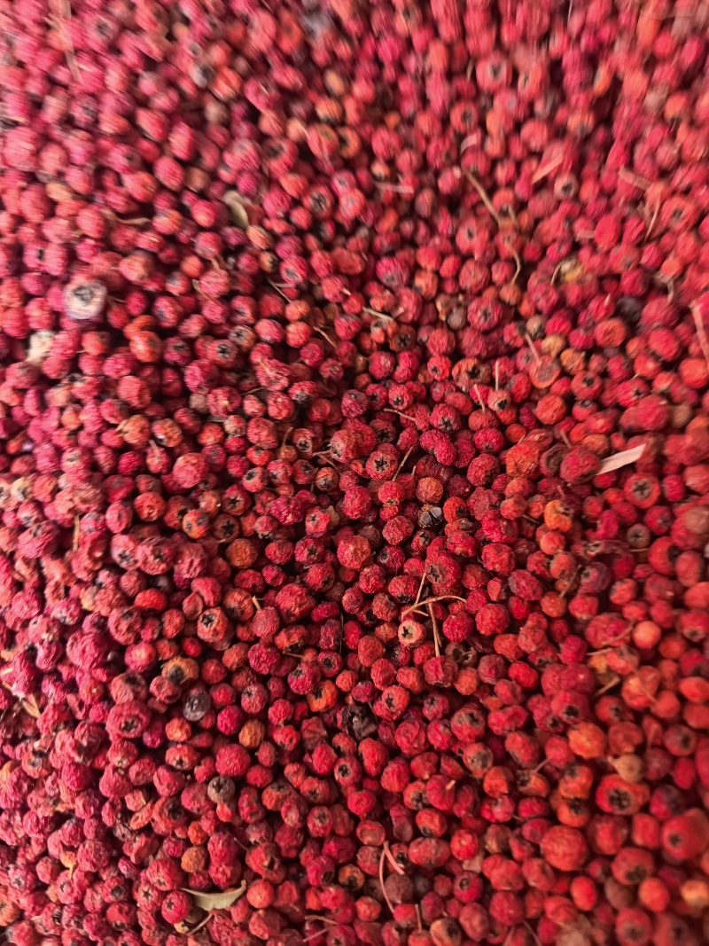 火棘果
