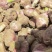 【万人抢购】紫皮大蒜山东精品紫皮蒜诚信经营量大从优