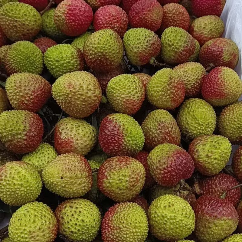 【妃子笑】精品荔枝妃子笑荔枝清甜爽口甜度高质量保证，