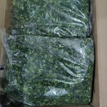 【热卖】河南荠菜馅，可供应食品加工厂，欢迎咨询联系
