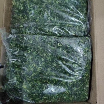 【热卖】河南荠菜馅，可供应食品加工厂，欢迎咨询联系