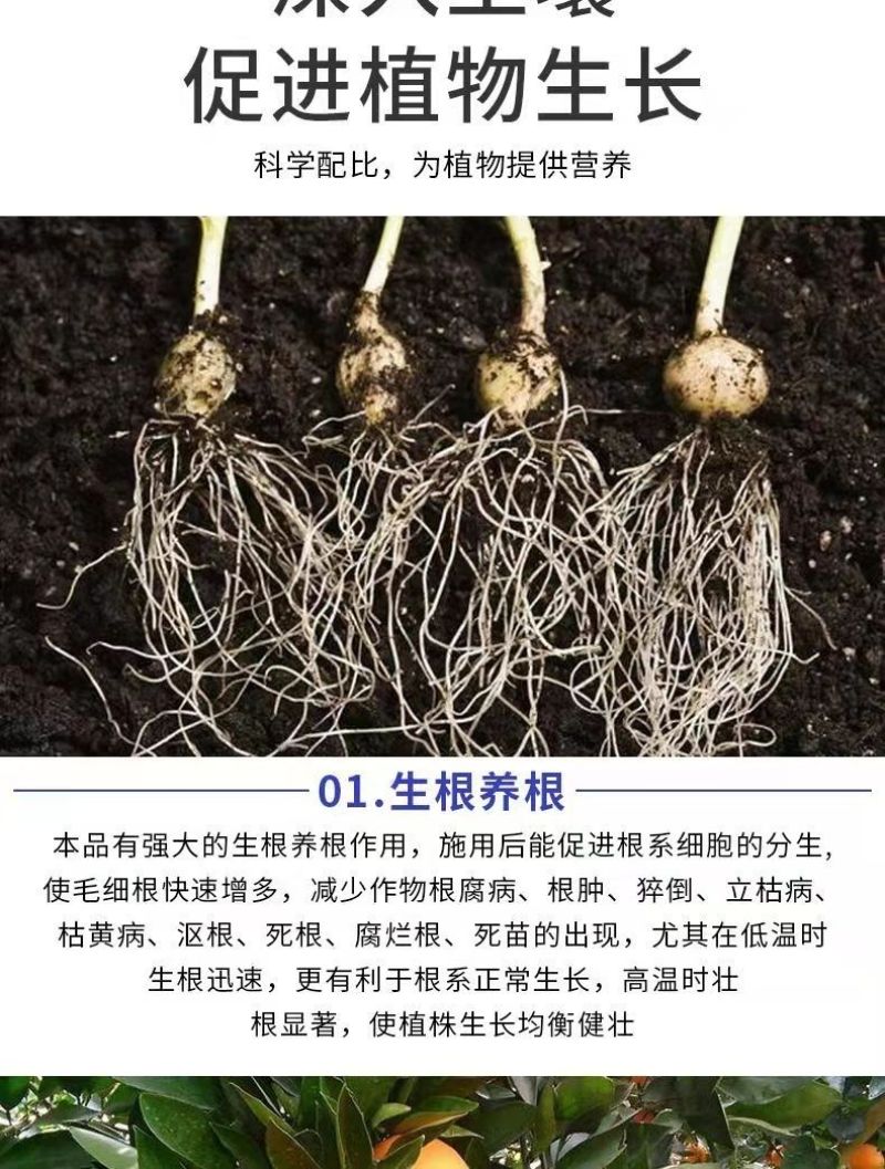 包邮【全水溶】中微量元素水溶肥钙镁铁锌硼补充钙镁
