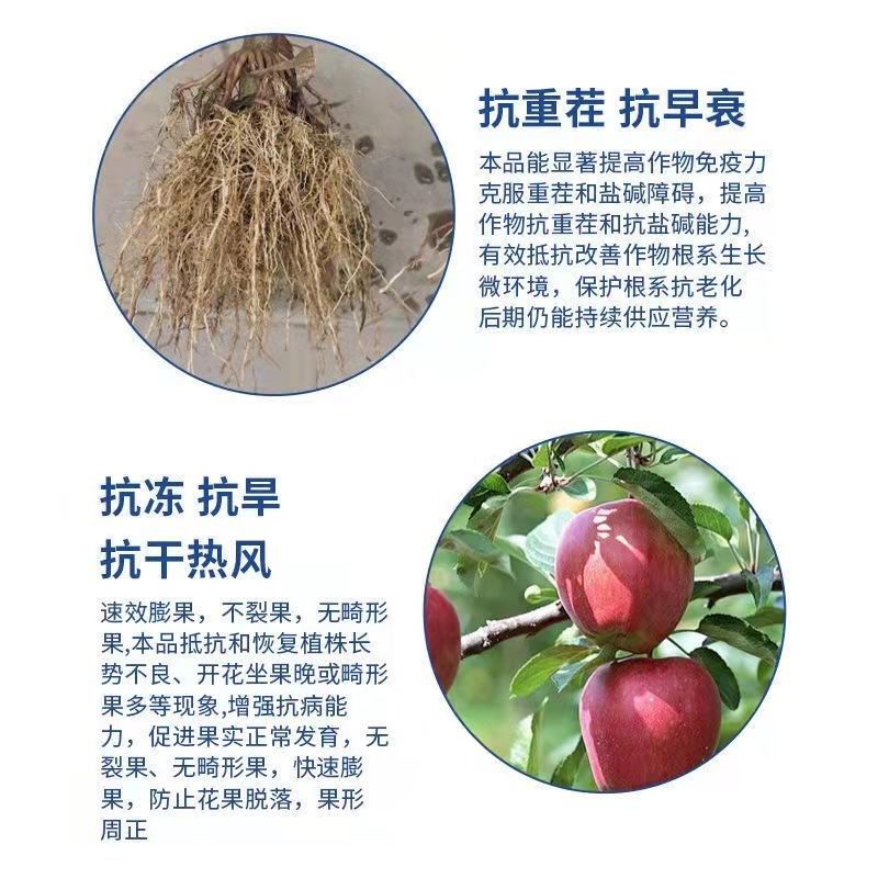 包邮【全水溶】中微量元素水溶肥钙镁铁锌硼补充钙镁