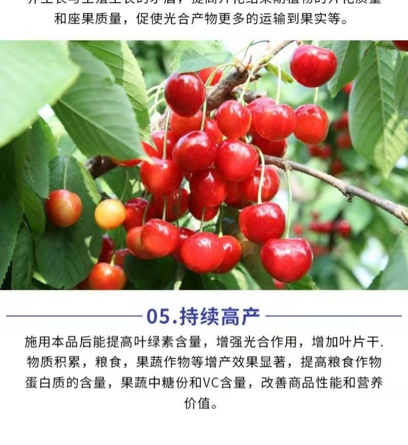 包邮【全水溶】中微量元素水溶肥钙镁铁锌硼补充钙镁