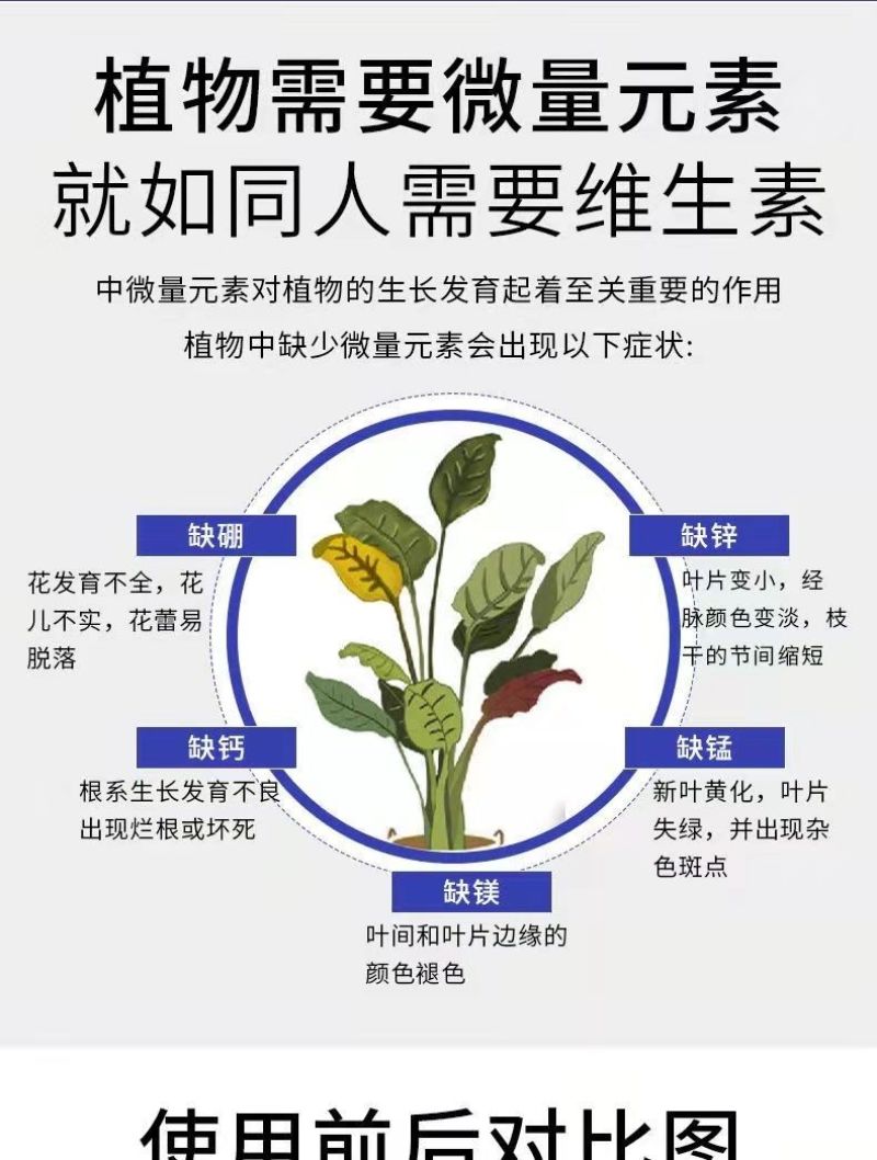 包邮【全水溶】中微量元素水溶肥钙镁铁锌硼补充钙镁
