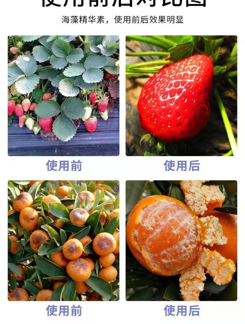 包邮【全水溶】中微量元素水溶肥钙镁铁锌硼补充钙镁