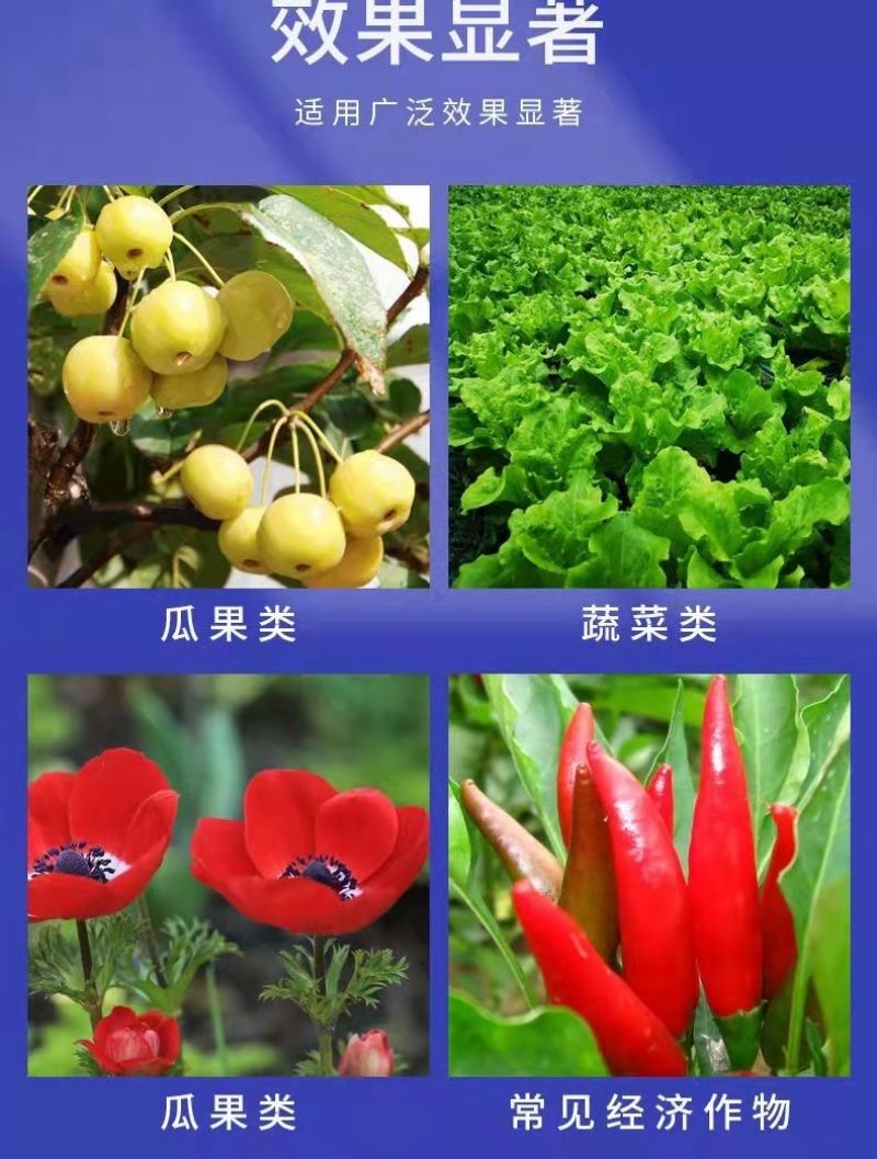 包邮【全水溶】中微量元素水溶肥钙镁铁锌硼补充钙镁