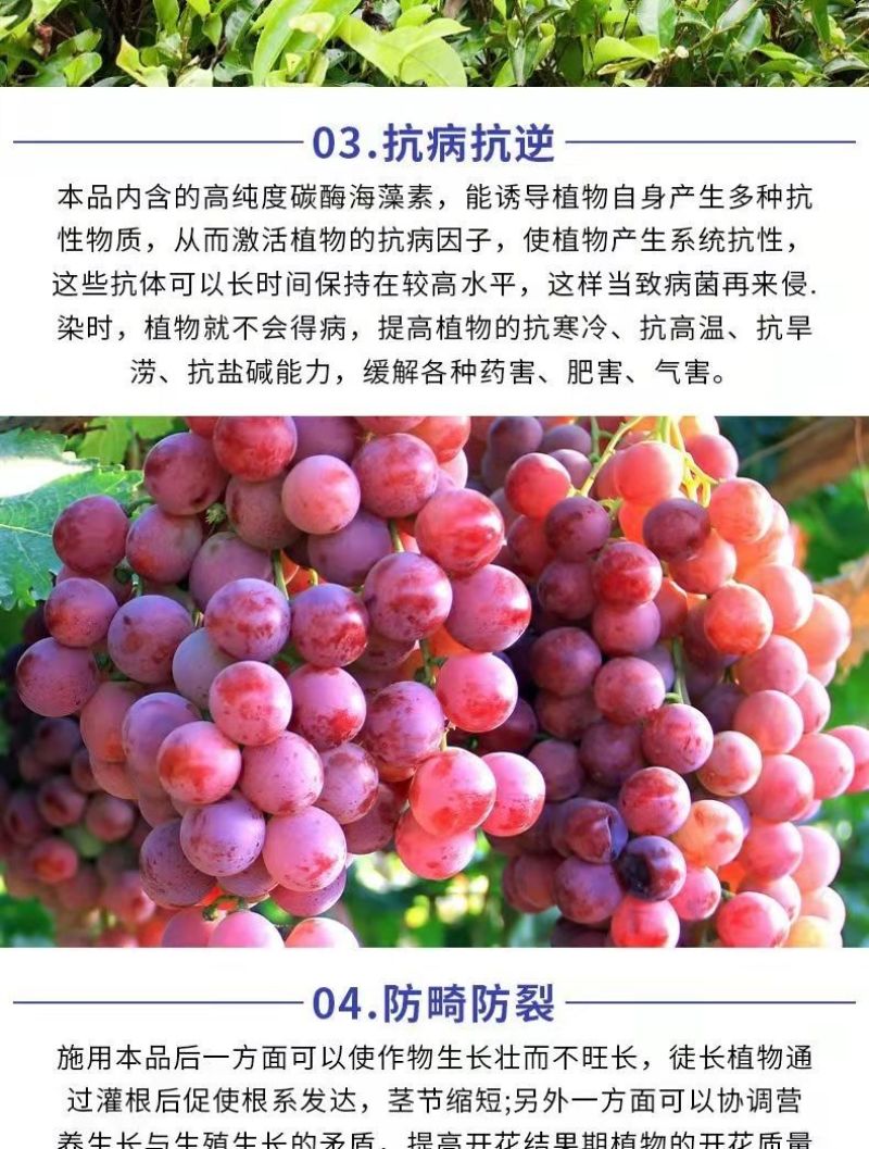 包邮【全水溶】中微量元素水溶肥钙镁铁锌硼补充钙镁