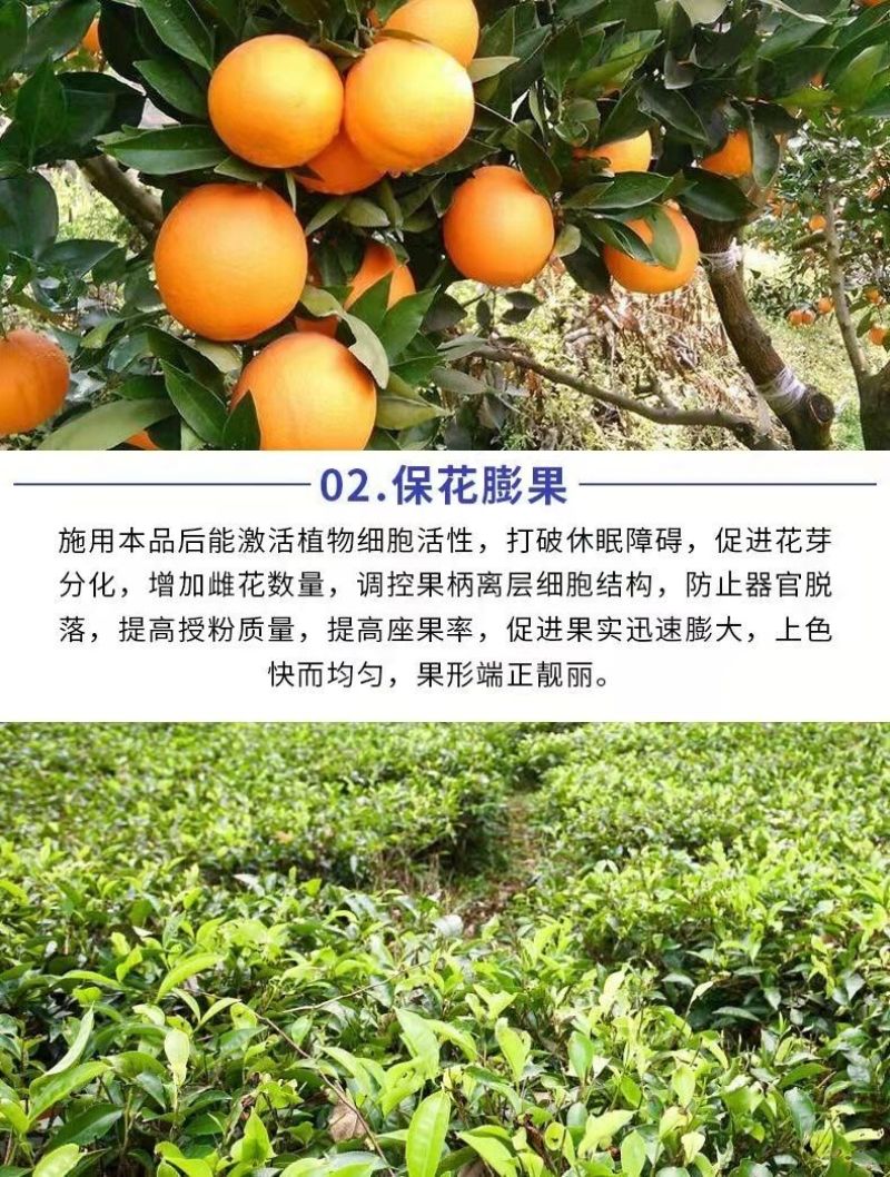 包邮【全水溶】中微量元素水溶肥钙镁铁锌硼补充钙镁