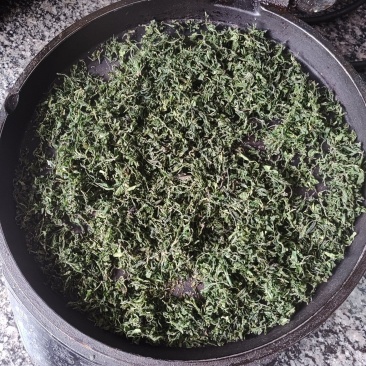 灵宝嫩叶酸枣芽茶叶