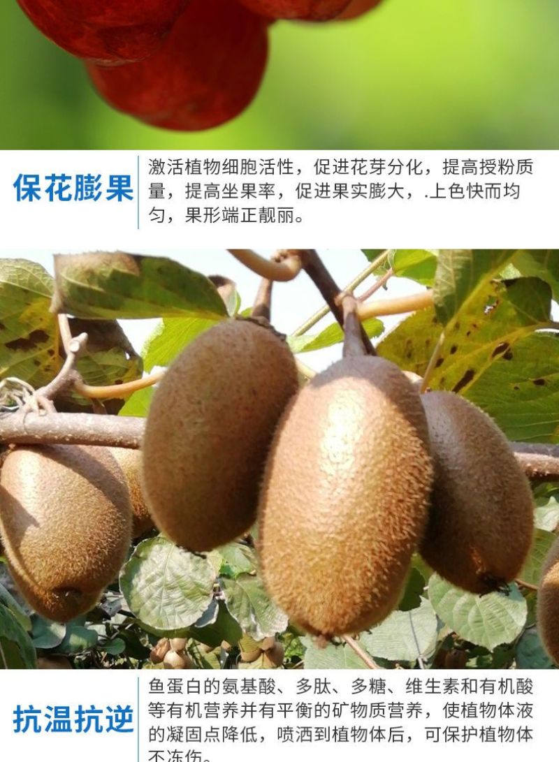 【包运费】40斤海藻鱼蛋白桶肥海藻肥水溶肥冲施肥肥料