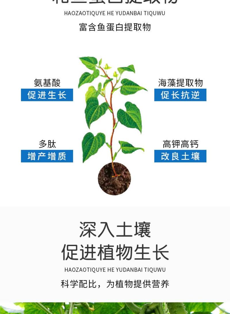 【包运费】40斤海藻鱼蛋白桶肥海藻肥水溶肥冲施肥肥料