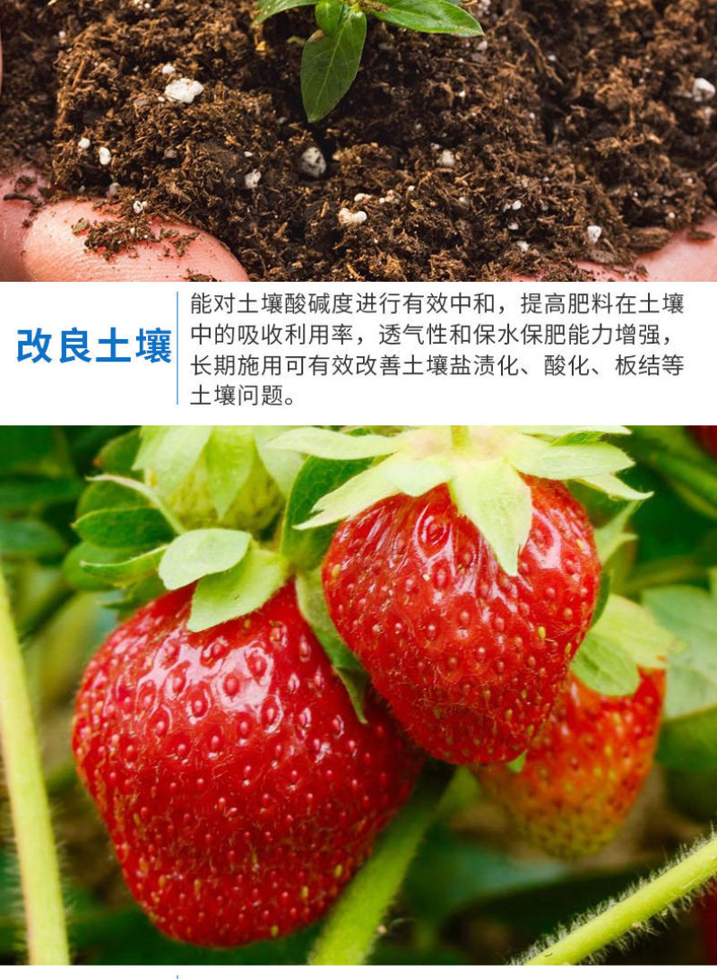 【包运费】40斤海藻鱼蛋白桶肥海藻肥水溶肥冲施肥肥料