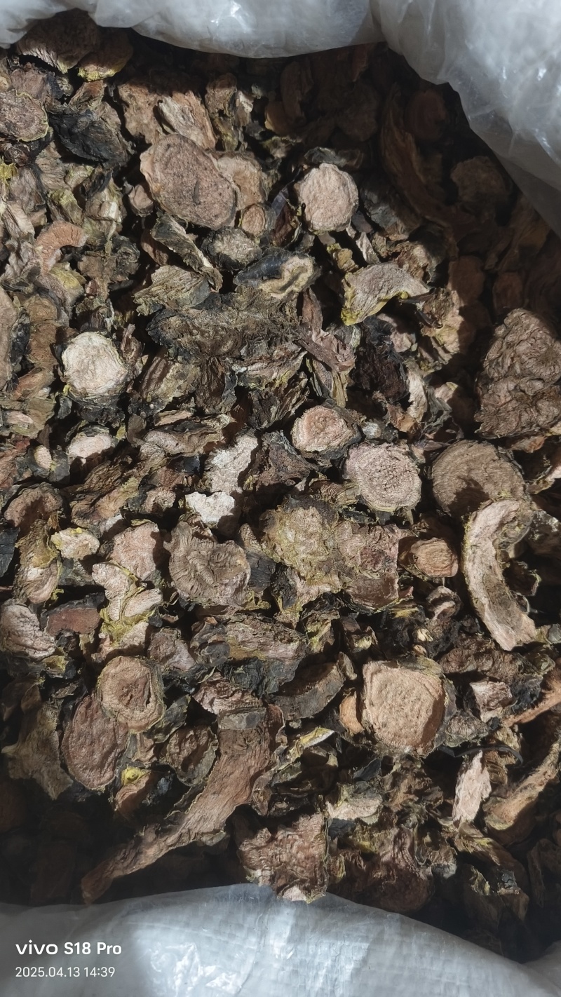 【红景天】大花正品红景天产地西藏只卖正品去皮切片