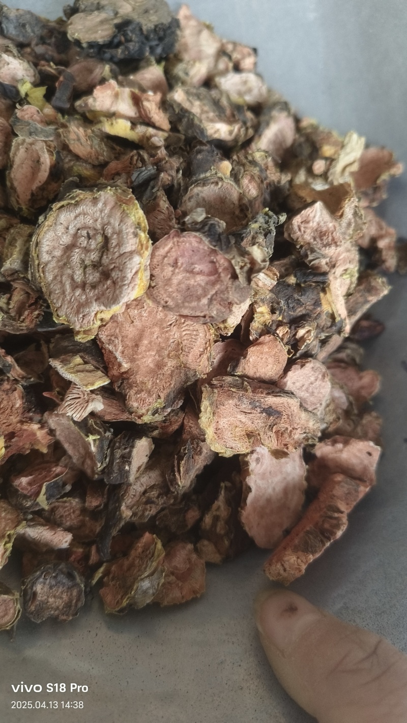 【红景天】大花正品红景天产地西藏只卖正品去皮切片
