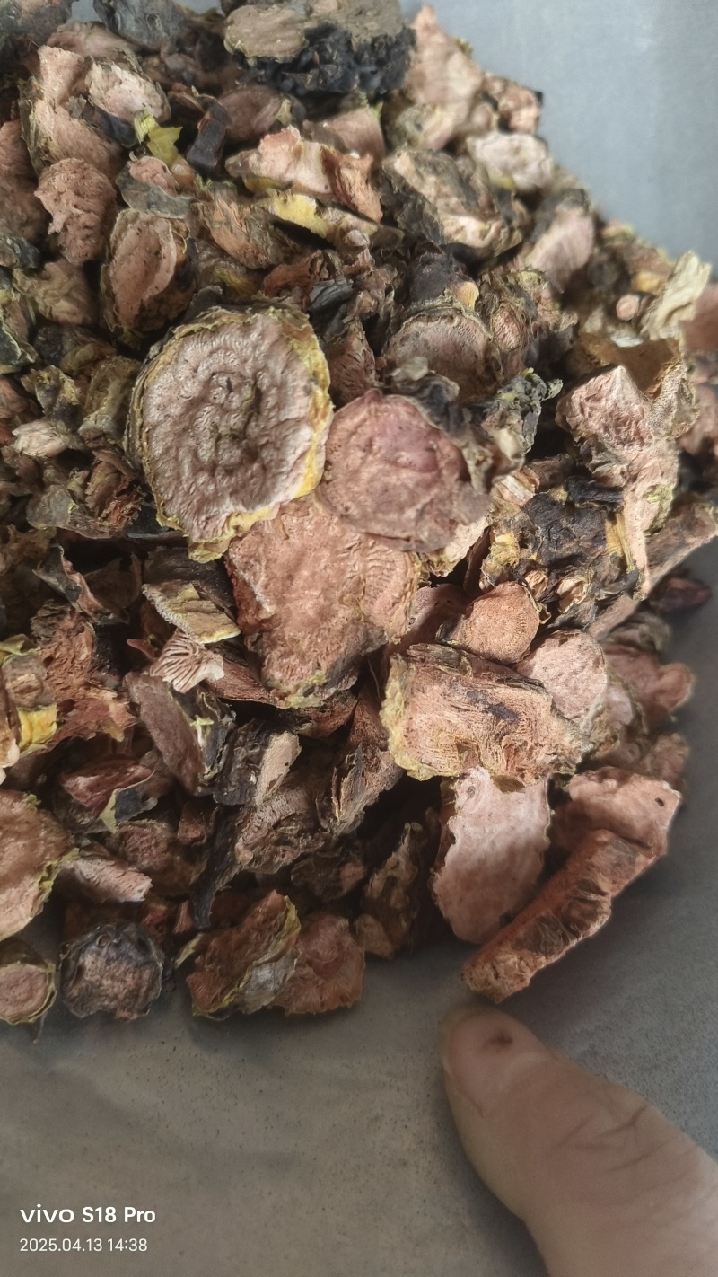 【红景天】大花正品红景天产地西藏只卖正品去皮切片