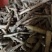 优质仙茅根部云南产地直供,,货量充足,全国无死角代收代卖,