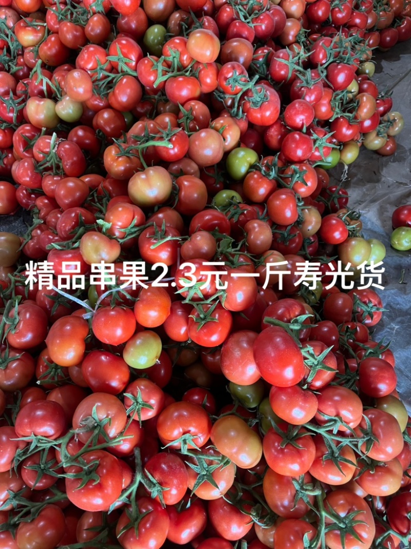 寿光专业代收代发西红柿，可以开发票，公对公付款