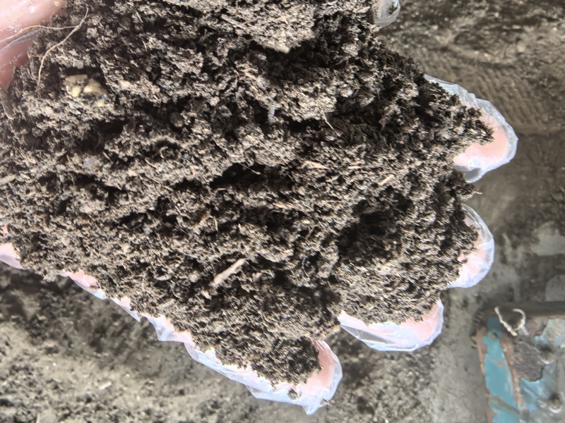 纯羊粪添加微生物发酵适合蔬菜水果药材等各种植物