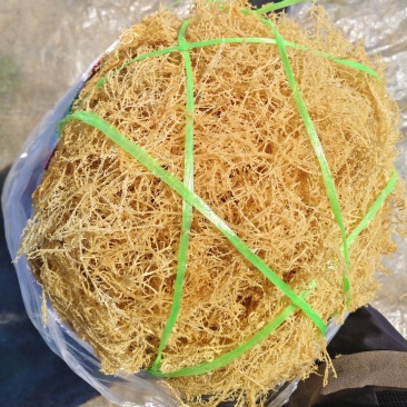 龙须菜全干无盐天然日晒凉拌菜干货石花菜鹿角菜长寿菜海藻麒