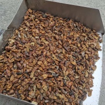干蚕蛹饲料原材料