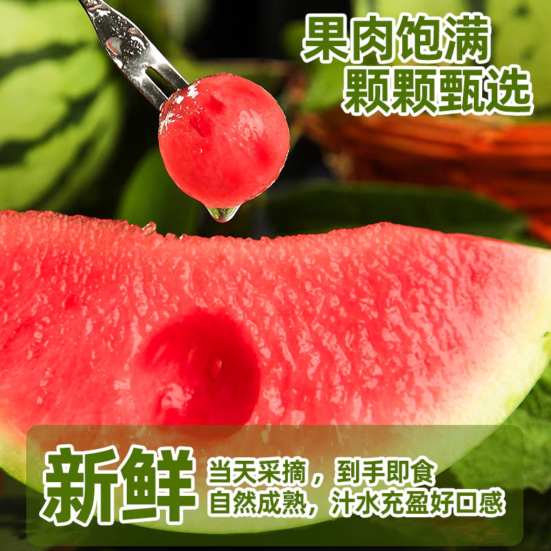 山东潍坊西瓜小糖丸西瓜糖度13%代收代发大量批发欢迎采购
