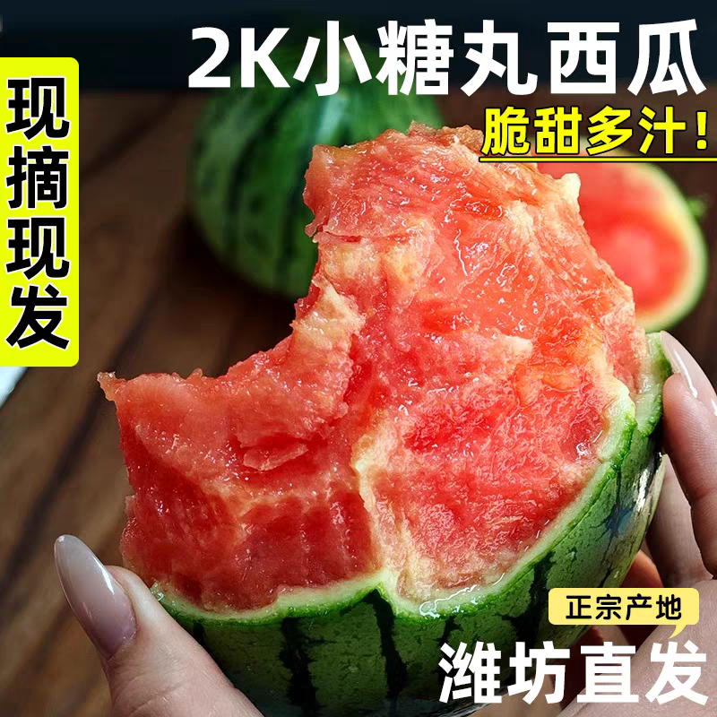 山东潍坊西瓜小糖丸西瓜糖度13%代收代发大量批发欢迎采购