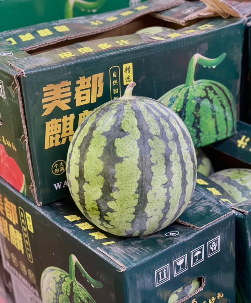 山东麒麟西瓜山东西瓜基地直供商超品质全国发货