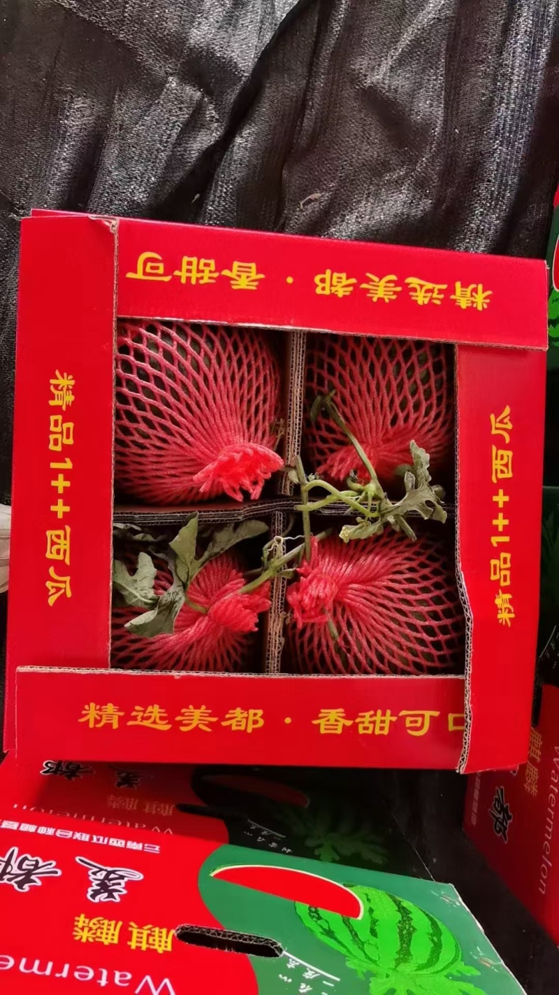云南美都麒麟瓜大量上市，产地直发，保质保量，欢迎来电