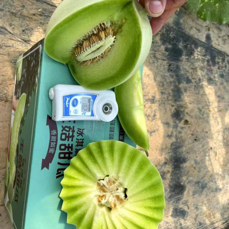 玉菇甜瓜，大量现货，网红直播，电商一件代发