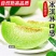 玉菇甜瓜，大量现货，网红直播，电商一件代发