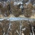 纯无糖红参碎片，五年以上花纹片，价格便宜，适合自用