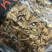 纯无糖红参碎片，五年以上花纹片，价格便宜，适合自用