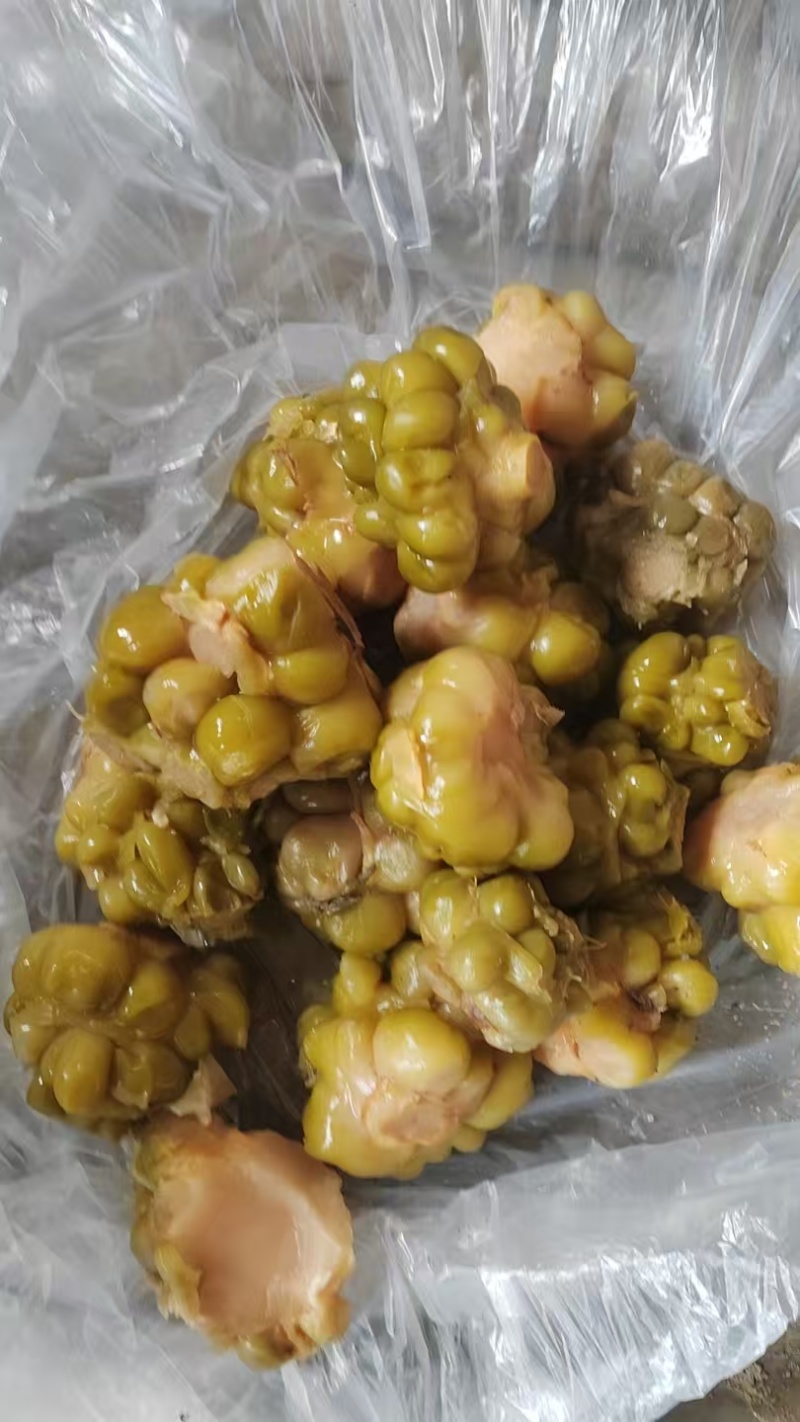 榨菜.正宗涪陵榨菜.腌制榨菜.传统古法腌制