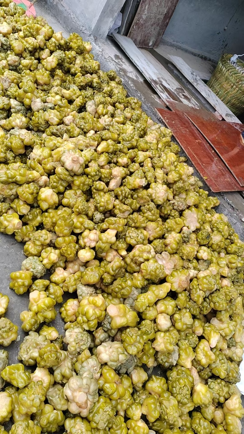 榨菜.正宗涪陵榨菜.腌制榨菜.传统古法腌制
