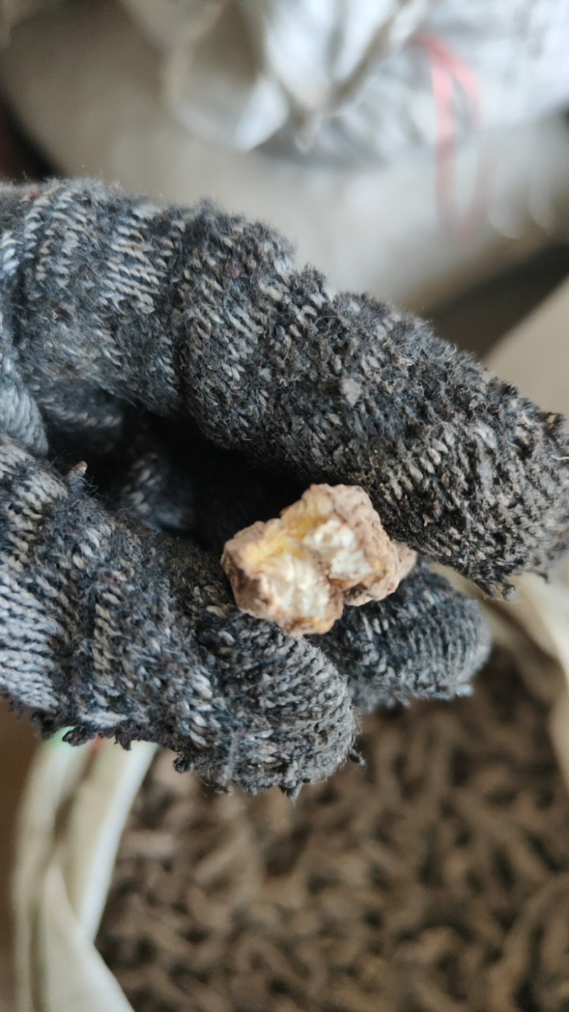 河南焦作怀地黄，中药生地黄原产地直发，零售包邮