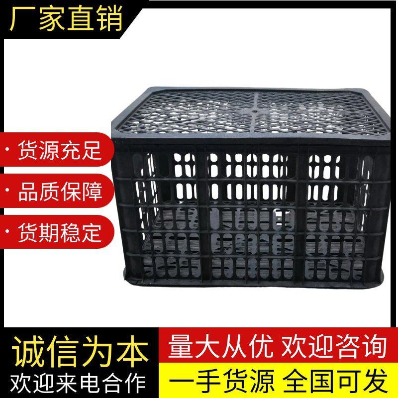 带盖蔬菜筐各种规格黑色塑料筐，源头厂家一手货源没有差价
