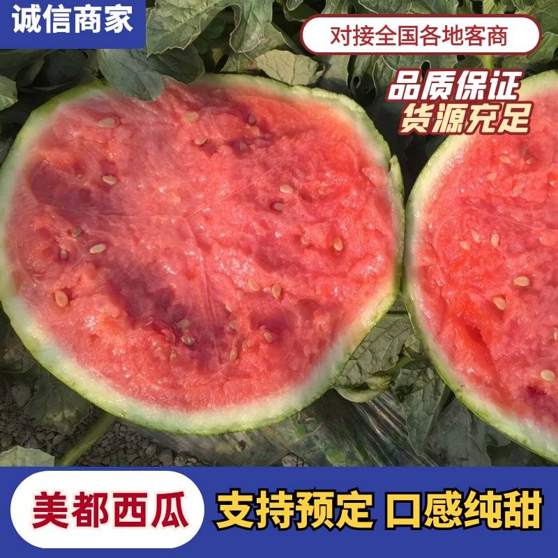 [美都西瓜批发]江苏盐城东台市西瓜 0.80元/斤美都西瓜，脆甜 _ 一亩田