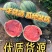 河南夏邑产区精品麒麟美都西瓜一手货源质量三包