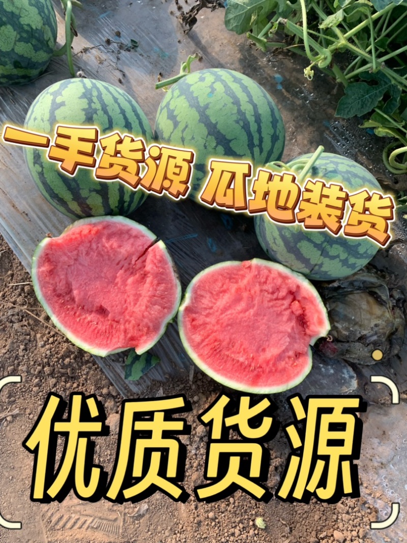 河南夏邑产区精品麒麟美都西瓜一手货源质量三包