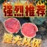 河南夏邑产区精品麒麟美都西瓜一手货源质量三包