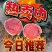 河南夏邑产区精品麒麟美都西瓜一手货源质量三包