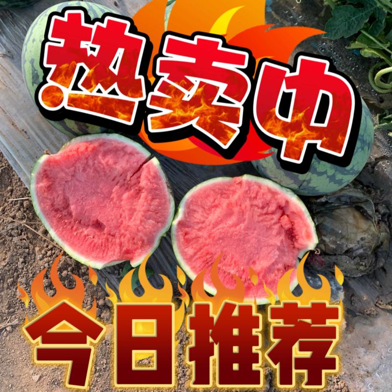 河南夏邑产区精品麒麟美都西瓜一手货源质量三包