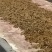 【热销】浙江梅干菜全国包邮基地直发对接全国物美价廉
