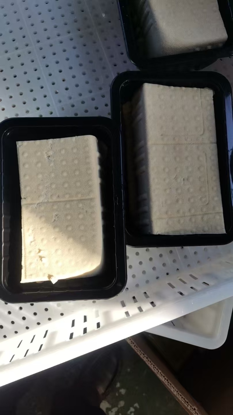 鲜豆腐，纯手工老豆腐，非物质文化遗产，工厂直发，营养丰富